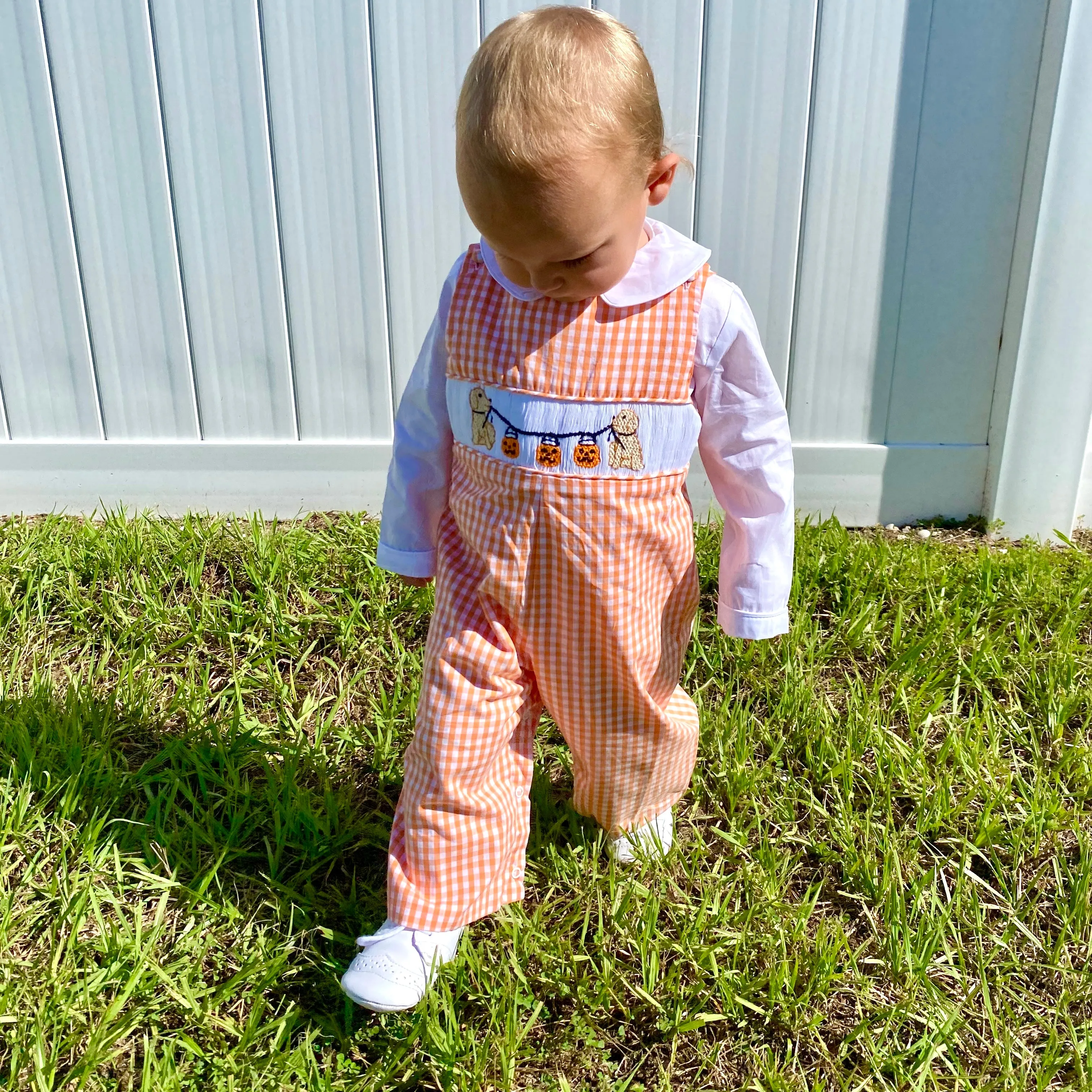 Halloween Smocked Puppy Longall